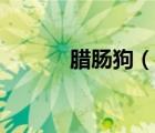 臘腸狗（說(shuō)一說(shuō)臘腸狗的簡(jiǎn)介）