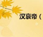 漢哀帝（說一說漢哀帝的簡(jiǎn)介）
