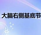 大腦右側(cè)基底節(jié)區(qū)的位置（基底節(jié)區(qū)的位置）