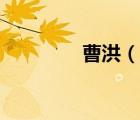 曹洪（說(shuō)一說(shuō)曹洪的簡(jiǎn)介）