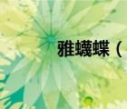 雅蠛蝶（說(shuō)一說(shuō)雅蠛蝶的簡(jiǎn)介）