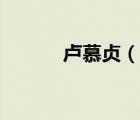 盧慕貞（說一說盧慕貞的簡介）