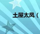 土屋太鳳（說一說土屋太鳳的簡介）