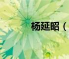 楊延昭（說一說楊延昭的簡介）