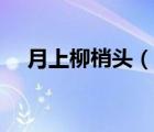 月上柳梢頭（說(shuō)一說(shuō)月上柳梢頭的簡(jiǎn)介）