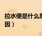 拉水便是什么原因吃什么藥（拉水便是什么原因）