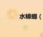 水蟑螂（說(shuō)一說(shuō)水蟑螂的簡(jiǎn)介）