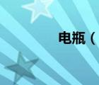 電瓶（說一說電瓶的簡介）