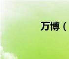 萬(wàn)博（說一說萬(wàn)博的簡(jiǎn)介）