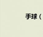 手球（說一說手球的簡介）