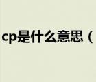cp是什么意思（說一說cp是什么意思的簡介）