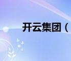 開云集團(tuán)（說一說開云集團(tuán)的簡介）