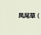鳳尾草（說一說鳳尾草的簡介）