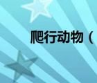爬行動(dòng)物（說一說爬行動(dòng)物的簡介）