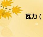 瓦力（說(shuō)一說(shuō)瓦力的簡(jiǎn)介）