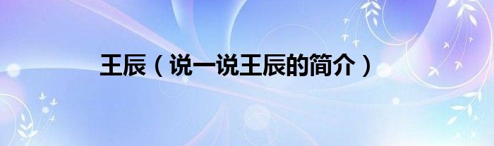 王辰（說一說王辰的簡介）