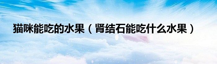 貓咪能吃的水果（腎結石能吃什么水果）