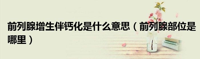 前列腺增生伴鈣化是什么意思（前列腺部位是哪里）