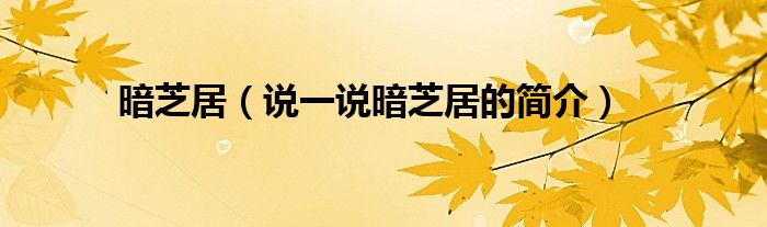 暗芝居（說一說暗芝居的簡介）