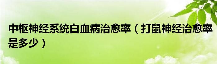 中樞神經(jīng)系統(tǒng)白血病治愈率（打鼠神經(jīng)治愈率是多少）