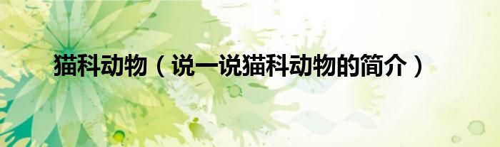 貓科動(dòng)物（說(shuō)一說(shuō)貓科動(dòng)物的簡(jiǎn)介）