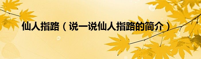 仙人指路（說一說仙人指路的簡介）