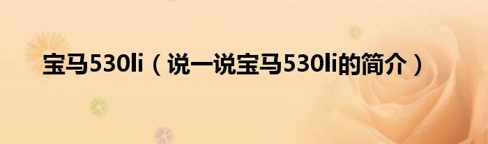 寶馬530li（說(shuō)一說(shuō)寶馬530li的簡(jiǎn)介）