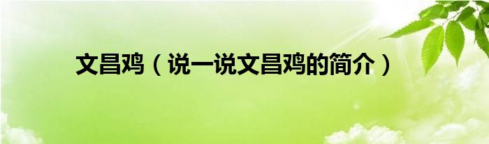 文昌雞（說一說文昌雞的簡介）