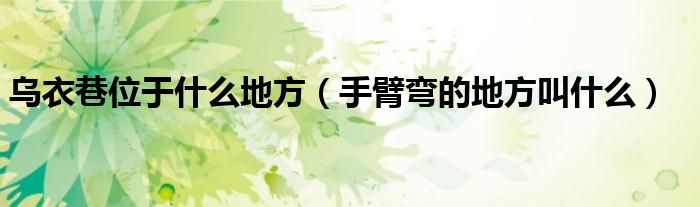 烏衣巷位于什么地方（手臂彎的地方叫什么）