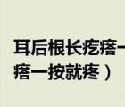 耳后根長疙瘩一按就疼掛什么科（耳后根長疙瘩一按就疼）