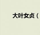 大葉女貞（說一說大葉女貞的簡(jiǎn)介）