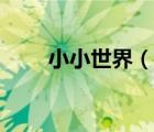 小小世界（說一說小小世界的簡介）