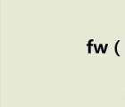fw（說(shuō)一說(shuō)fw的簡(jiǎn)介）