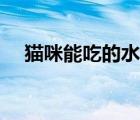 貓咪能吃的水果（腎結(jié)石能吃什么水果）