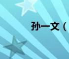 孫一文（說一說孫一文的簡介）