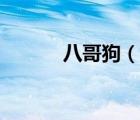 八哥狗（說(shuō)一說(shuō)八哥狗的簡(jiǎn)介）