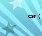 csr（說一說csr的簡介）