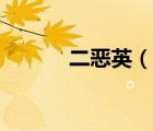 二惡英（說一說二惡英的簡介）
