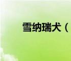 雪納瑞犬（說一說雪納瑞犬的簡介）
