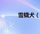 雪橇犬（說一說雪橇犬的簡介）
