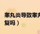 睪丸炎導(dǎo)致睪丸萎縮能恢復(fù)嗎（睪丸萎縮能恢復(fù)嗎）