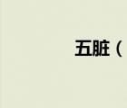 五臟（說一說五臟的簡介）