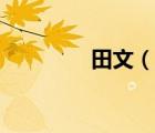 田文（說一說田文的簡介）