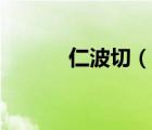 仁波切（說一說仁波切的簡介）