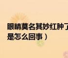 眼睛莫名其妙紅腫了一只怎么回事（眼睛莫名其妙腫了一只是怎么回事）