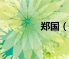 鄭國（說一說鄭國的簡介）