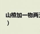山楂加一物兩天瘦8斤（喝山楂水可以減肥嗎）