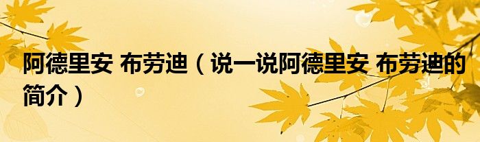 阿德里安 布勞迪（說(shuō)一說(shuō)阿德里安 布勞迪的簡(jiǎn)介）