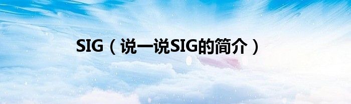 SIG（說(shuō)一說(shuō)SIG的簡(jiǎn)介）