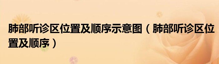肺部聽診區(qū)位置及順序示意圖（肺部聽診區(qū)位置及順序）